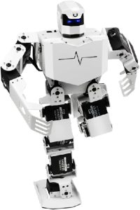 H5S Smart Robot 16DOF Humanoid Robot PC APP Control, Support Walking Dancing Singing Kicking Boxing Stand Up Automatically, Gift for Adult Robots Beginner Men Women Student Robots Lover