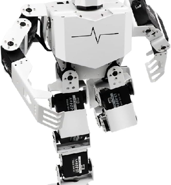 H5S Smart Robot 16DOF Humanoid Robot PC APP Control, Support Walking Dancing Singing Kicking Boxing Stand Up Automatically, Gift for Adult Robots Beginner Men Women Student Robots Lover