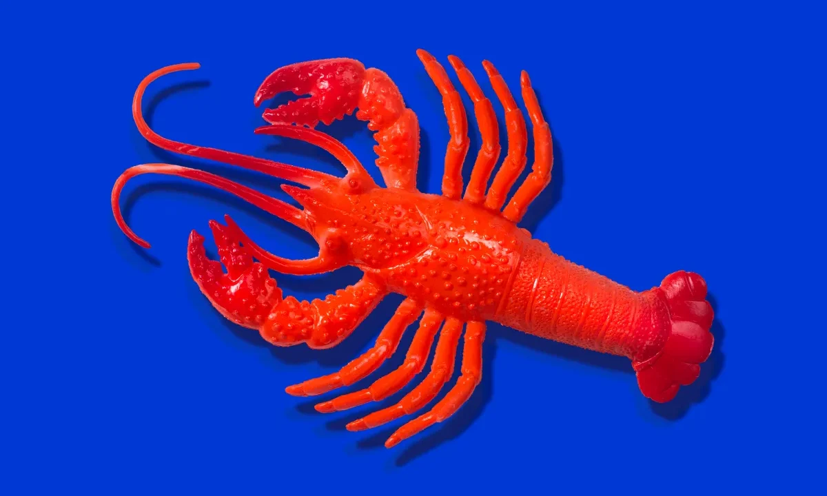 Red rubber lobster toy on blue background