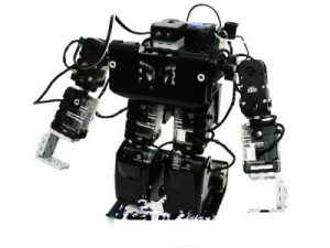 GOWE Robobuilder - RQ-HUNO Humanoid Robot