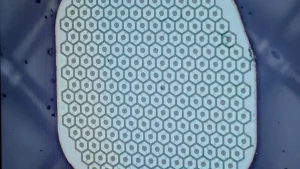 Max Hodak’s Science Corp. is preparing to place its first sensor in a human brain