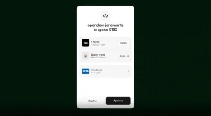 Stripe introduces Link, a digital wallet that autonomous AI agents can use, too