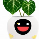 New 2026 Ai Smart Planter – Extra Large Interactive Plant Pot, Pet Plantagotchi, robot, Leafypod and Plantiboy, Robot Flower Pot with Feelings, Indoor Flowerpot with Water, Digital Gifts (White)