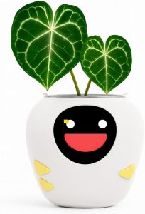 New 2026 Ai Smart Planter – Extra Large Interactive Plant Pot, Pet Plantagotchi, robot, Leafypod and Plantiboy, Robot Flower Pot with Feelings, Indoor Flowerpot with Water, Digital Gifts (White)