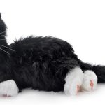 JOY FOR ALL - Black & White Tuxedo Cat - Interactive Companion Pets - Realistic & Lifelike, 5 Years and up, 5 Years and up