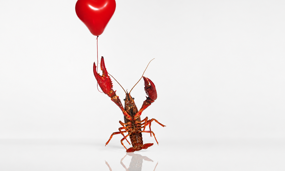 lobster holding heart-shaped balloon