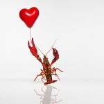 lobster holding heart-shaped balloon