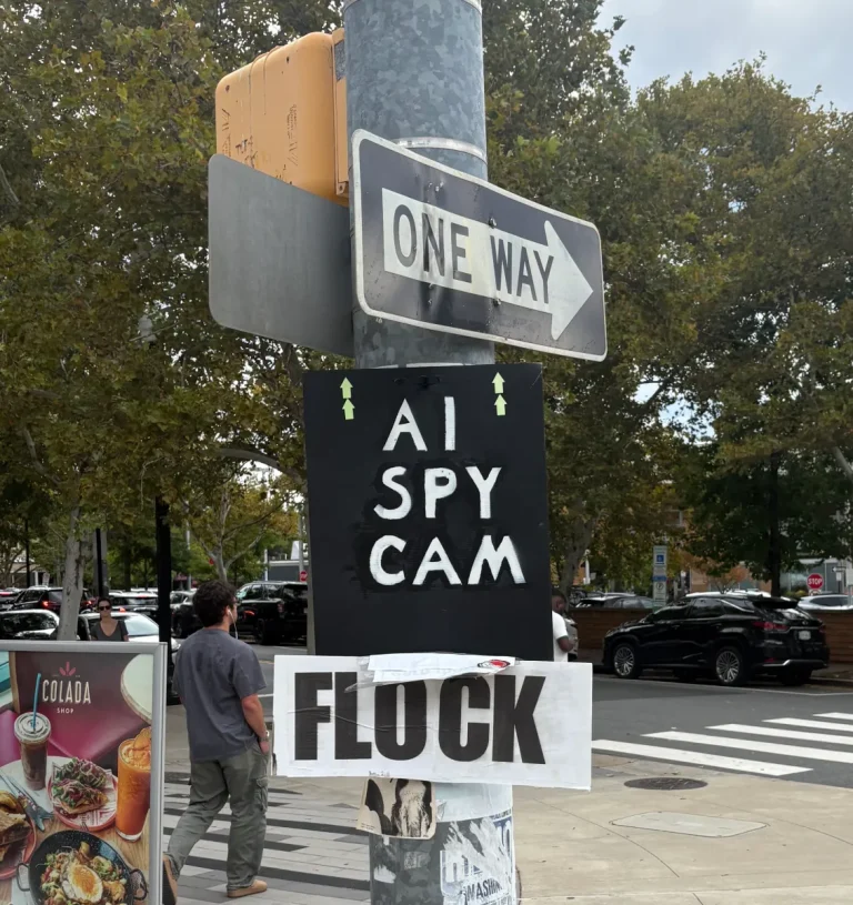 Photo of Flock protest signs in Arlington, Virginia.