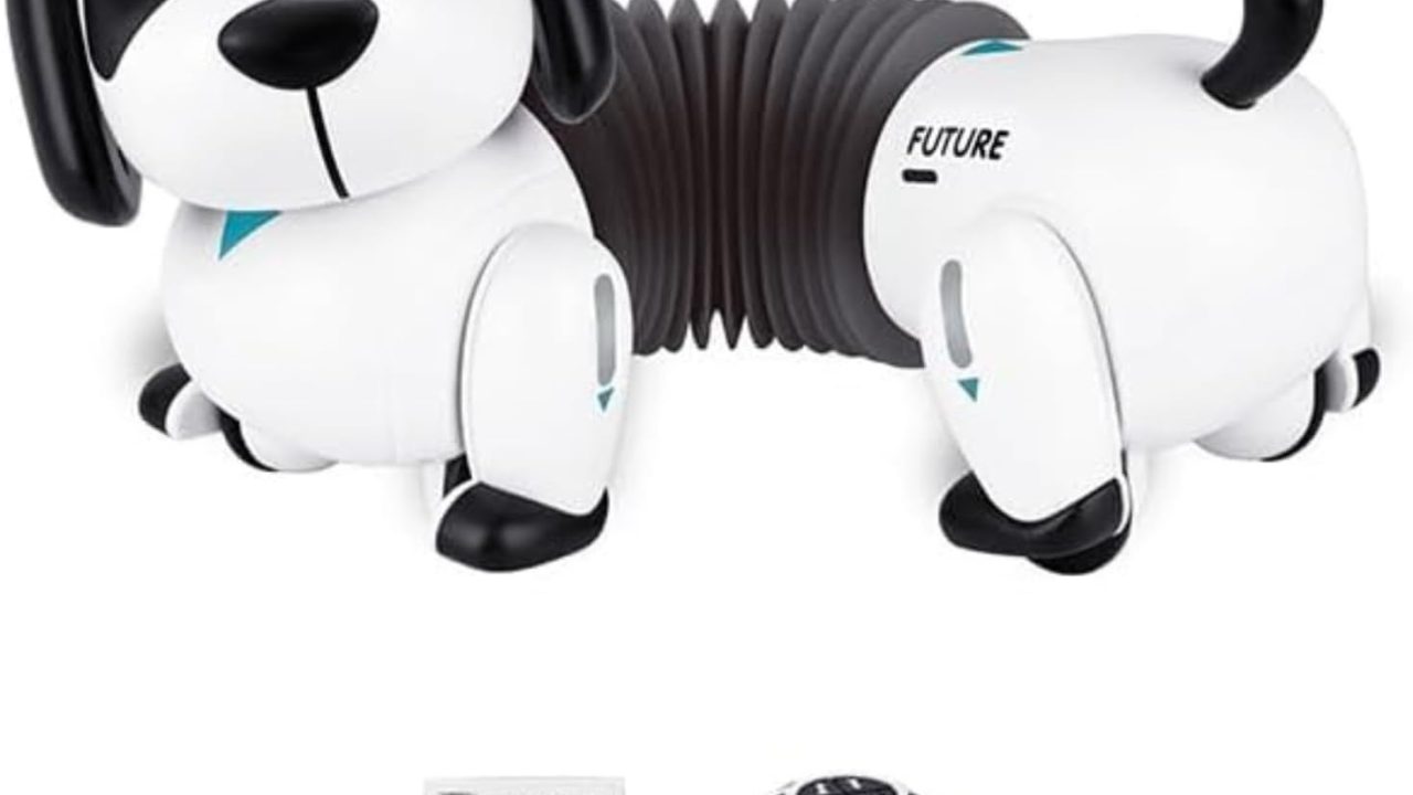Dollox Robot Dog Remote Control Dachshund Puppy, RC Robotic Interactive Intelligent Walking Dancing Doggy Programmable Electronic Pet Toy with Music for Kids Age 6, 7, 8, 9, 10 Year Old